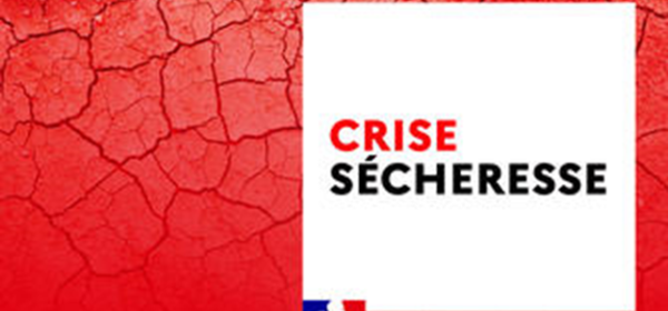 de Actualités – Vivre au cœur de sa ville – Ville de ChantepieCrise Sécheresse de Actualités – Vivre au cœur de sa ville – Ville de Chantepie